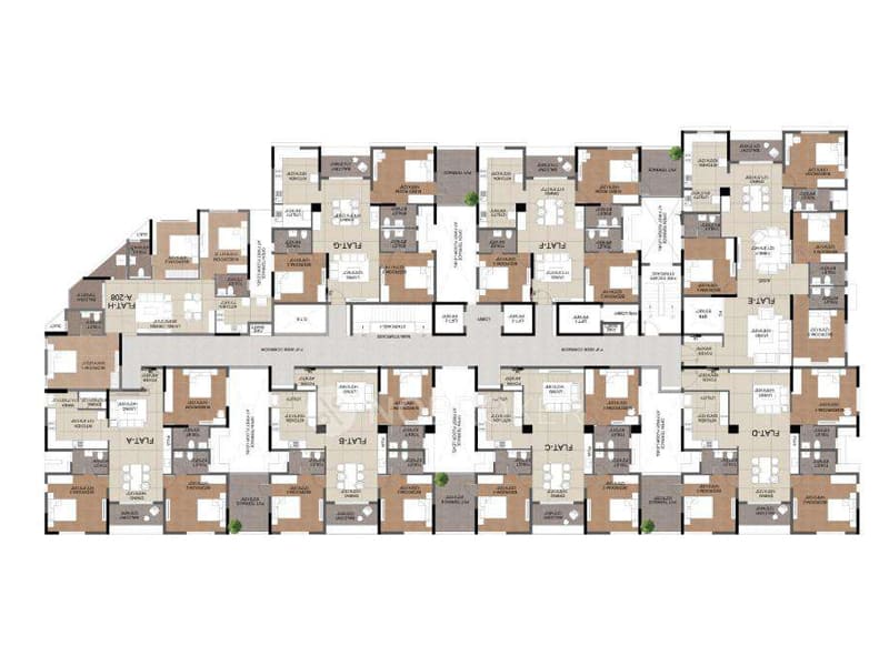 Master Layout